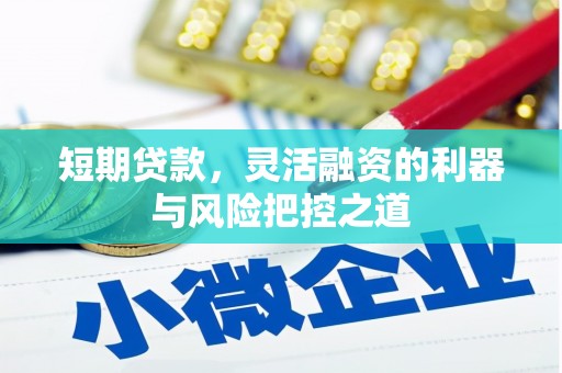 暖暖短期贷款，灵活融资的利器与风险把控之道