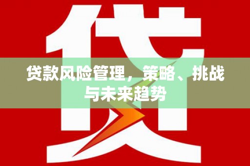 暖暖贷款风险管理，策略、挑战与未来趋势