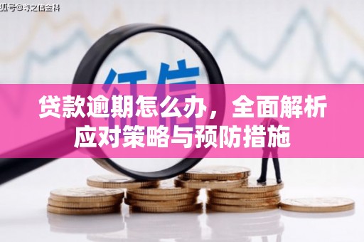 暖暖贷款逾期怎么办，全面解析应对策略与预防措施
