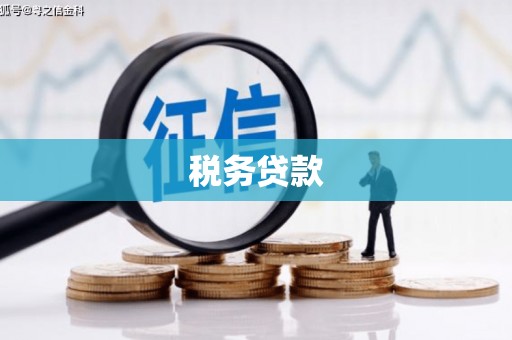 暖暖税务贷款