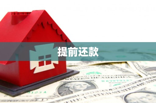 暖暖提前还款