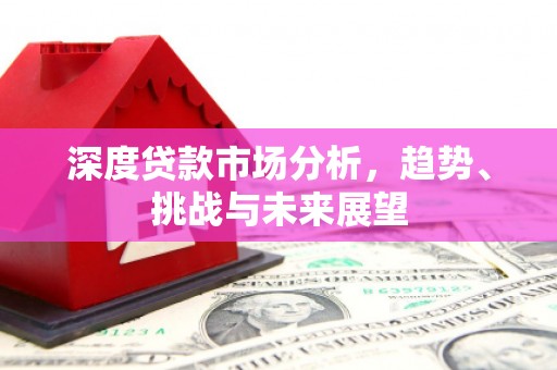暖暖深度贷款市场分析，趋势、挑战与未来展望