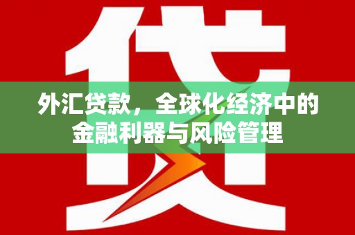 暖暖外汇贷款，全球化经济中的金融利器与风险管理