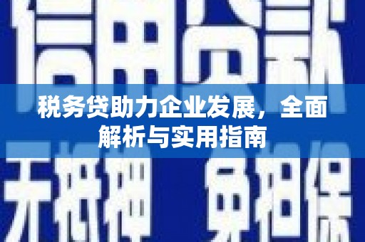 暖暖税务贷助力企业发展，全面解析与实用指南
