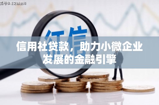 暖暖信用社贷款，助力小微企业发展的金融引擎