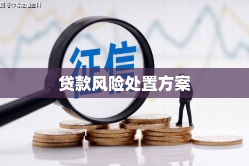 暖暖贷款风险处置方案