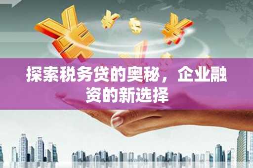 暖暖探索税务贷的奥秘，企业融资的新选择