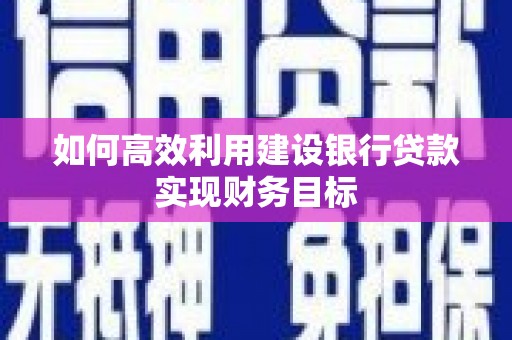 暖暖如何高效利用建设银行贷款实现财务目标