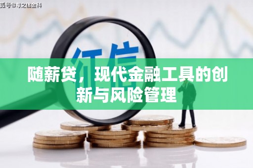 暖暖随薪贷，现代金融工具的创新与风险管理