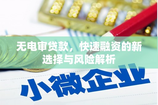 暖暖无电审贷款，快速融资的新选择与风险解析