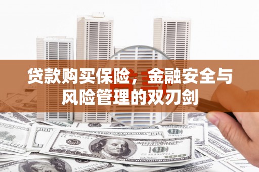 暖暖贷款购买保险，金融安全与风险管理的双刃剑
