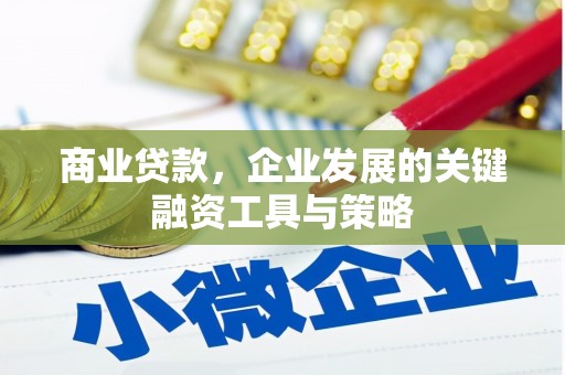 暖暖商业贷款，企业发展的关键融资工具与策略