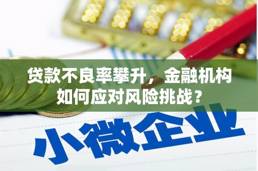 暖暖贷款不良率攀升，金融机构如何应对风险挑战？