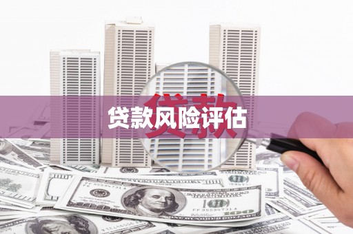 暖暖贷款风险评估