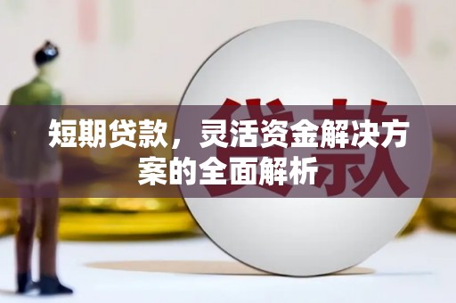 暖暖短期贷款，灵活资金解决方案的全面解析