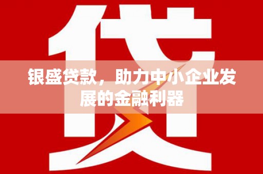 暖暖银盛贷款，助力中小企业发展的金融利器