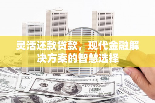 暖暖灵活还款贷款，现代金融解决方案的智慧选择