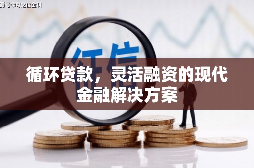暖暖循环贷款，灵活融资的现代金融解决方案