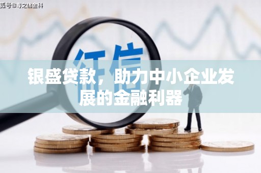 暖暖银盛贷款，助力中小企业发展的金融利器