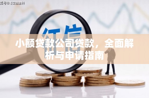暖暖小额贷款公司贷款，全面解析与申请指南