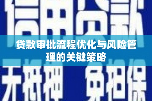 暖暖贷款审批流程优化与风险管理的关键策略