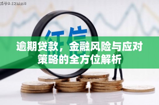 暖暖逾期贷款，金融风险与应对策略的全方位解析