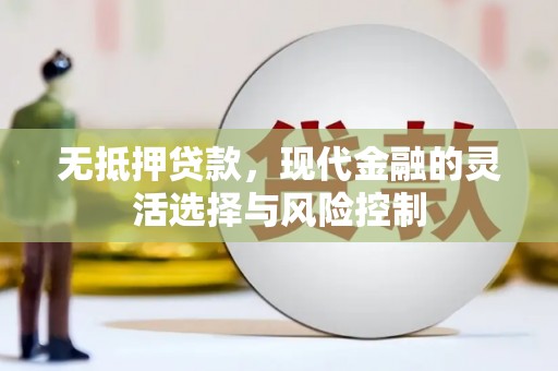 暖暖无抵押贷款，现代金融的灵活选择与风险控制