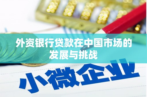 暖暖外资银行贷款在中国市场的发展与挑战