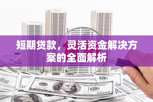 暖暖短期贷款，灵活资金解决方案的全面解析
