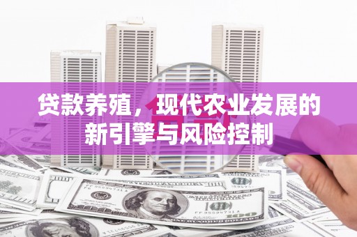 暖暖贷款养殖，现代农业发展的新引擎与风险控制
