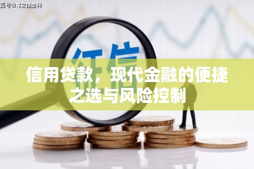 暖暖信用贷款，现代金融的便捷之选与风险控制
