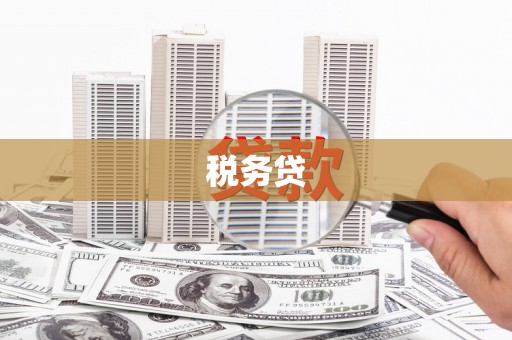 暖暖税务贷