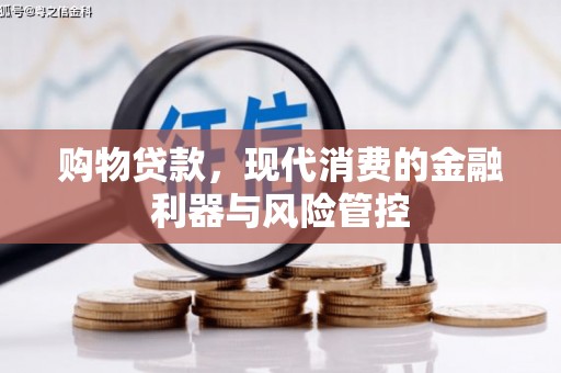 暖暖购物贷款，现代消费的金融利器与风险管控