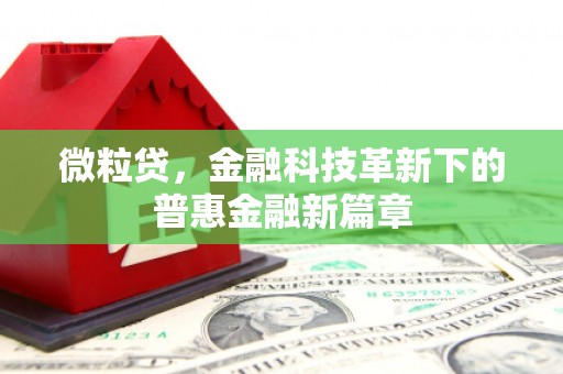 暖暖微粒贷，金融科技革新下的普惠金融新篇章