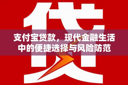 暖暖支付宝贷款，现代金融生活中的便捷选择与风险防范
