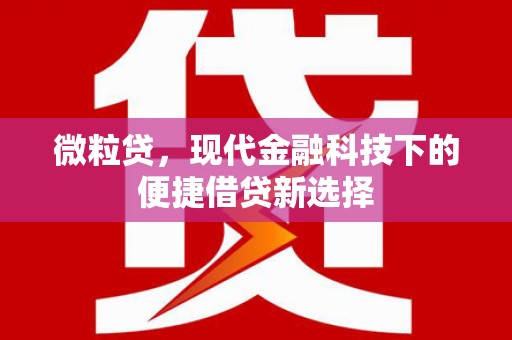 暖暖微粒贷，现代金融科技下的便捷借贷新选择