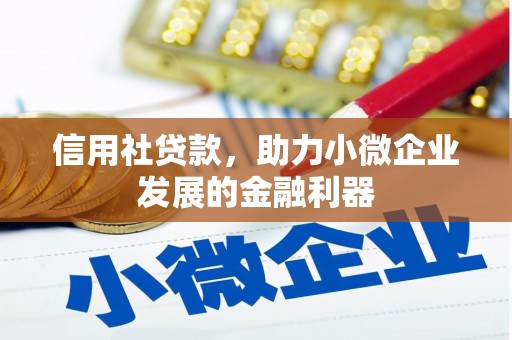 暖暖信用社贷款，助力小微企业发展的金融利器