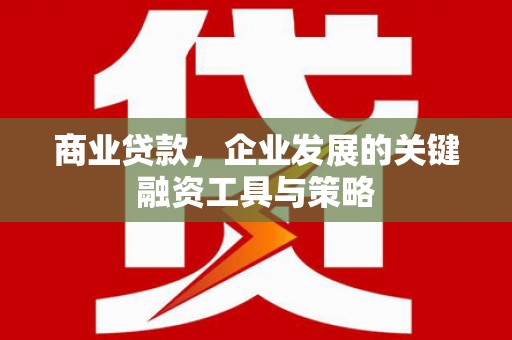 暖暖商业贷款，企业发展的关键融资工具与策略
