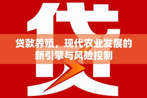 暖暖贷款养殖，现代农业发展的新引擎与风险控制