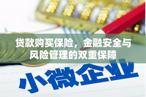 暖暖贷款购买保险，金融安全与风险管理的双重保障