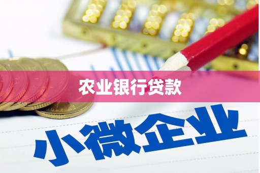暖暖农业银行贷款