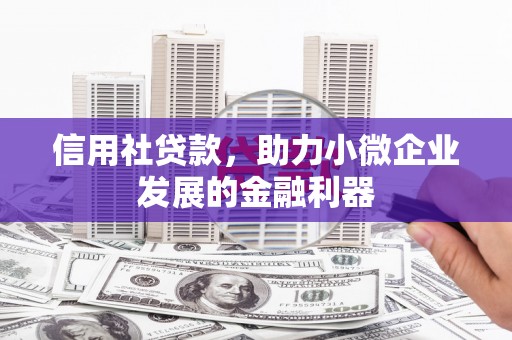 暖暖信用社贷款，助力小微企业发展的金融利器
