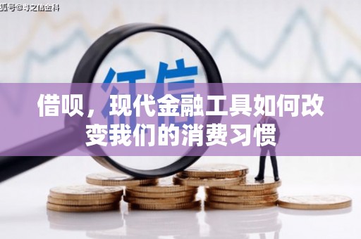 暖暖借呗，现代金融工具如何改变我们的消费习惯