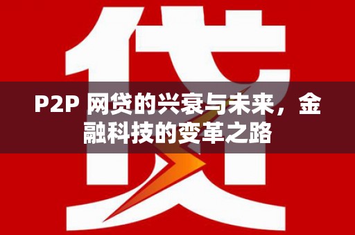 暖暖P2P 网贷的兴衰与未来，金融科技的变革之路