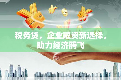 暖暖税务贷，企业融资新选择，助力经济腾飞