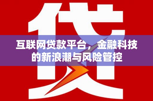 暖暖互联网贷款平台，金融科技的新浪潮与风险管控