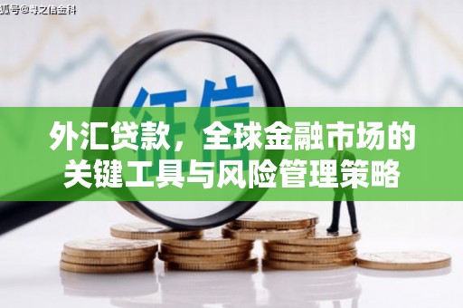 暖暖外汇贷款，全球金融市场的关键工具与风险管理策略