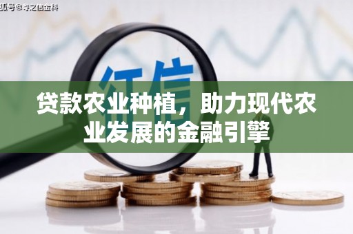 暖暖贷款农业种植，助力现代农业发展的金融引擎