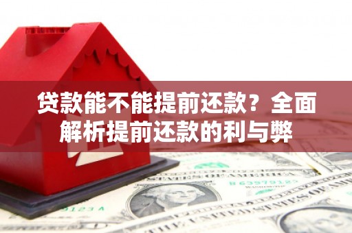 暖暖贷款能不能提前还款？全面解析提前还款的利与弊