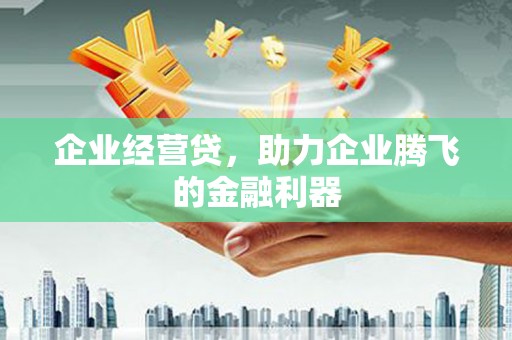 暖暖企业经营贷，助力企业腾飞的金融利器